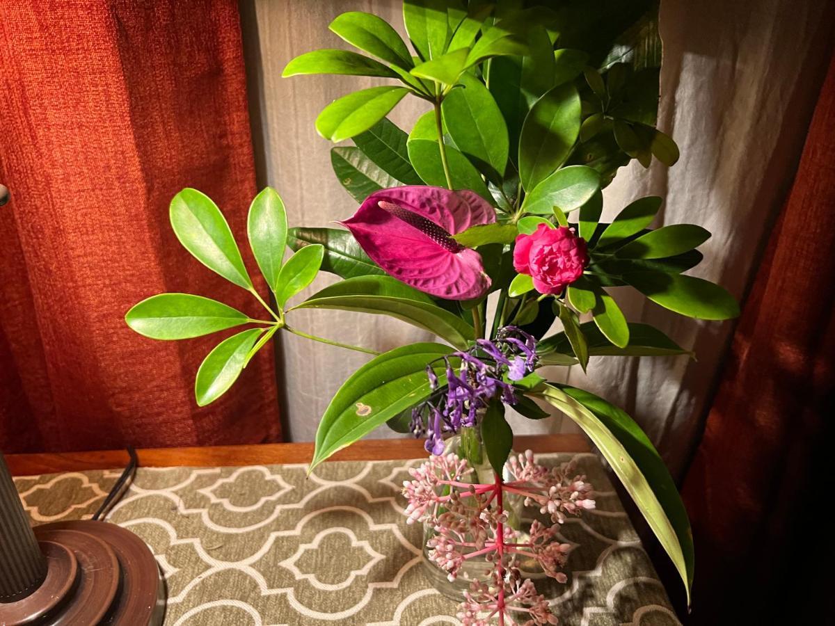 Hawi Guest House 外观 照片